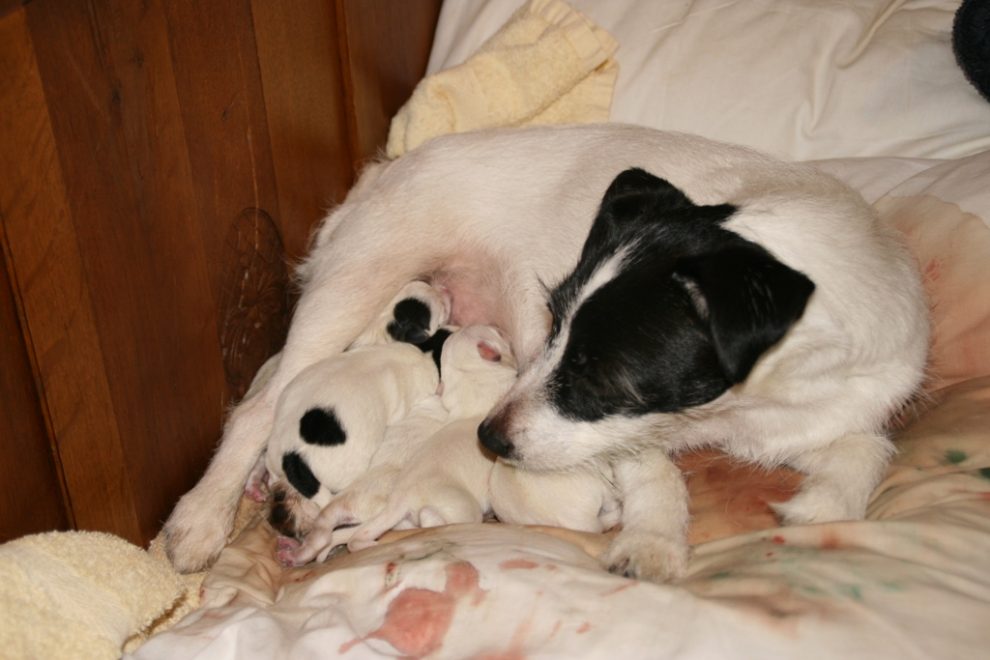 Nest Tummy & Joy, geboren 6 december 2011